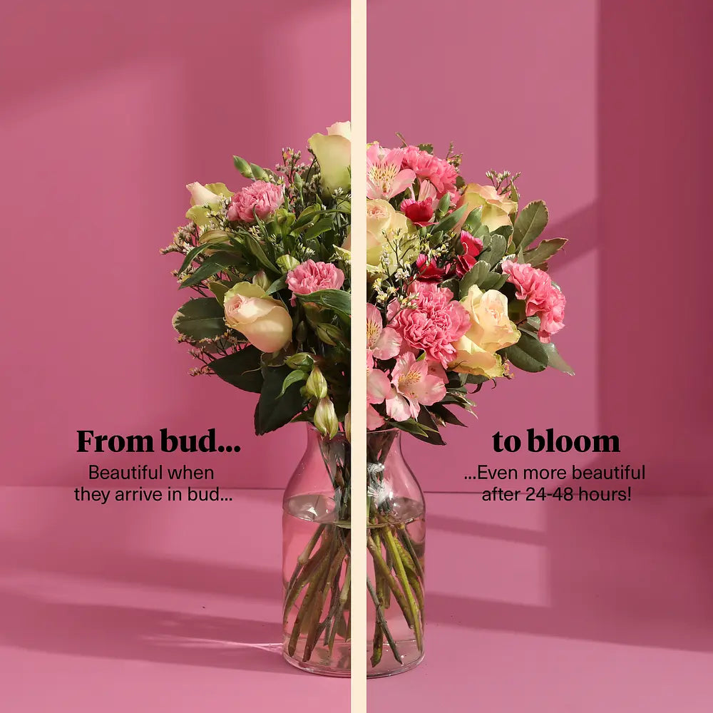 The Liberty 'Celebrating You' Bundle