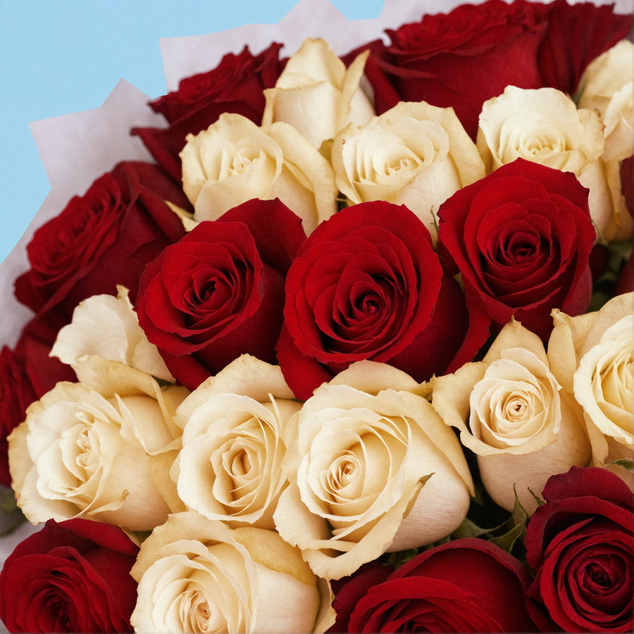 100 White and Red Roses from Kenya