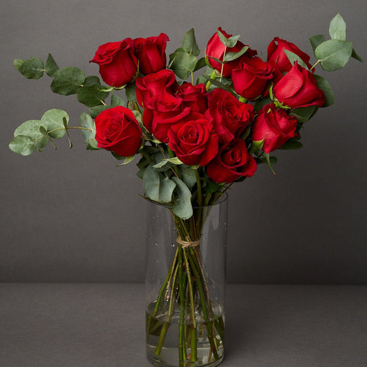 Valentine's Day Red Roses