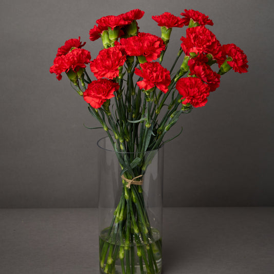 Red Carnations