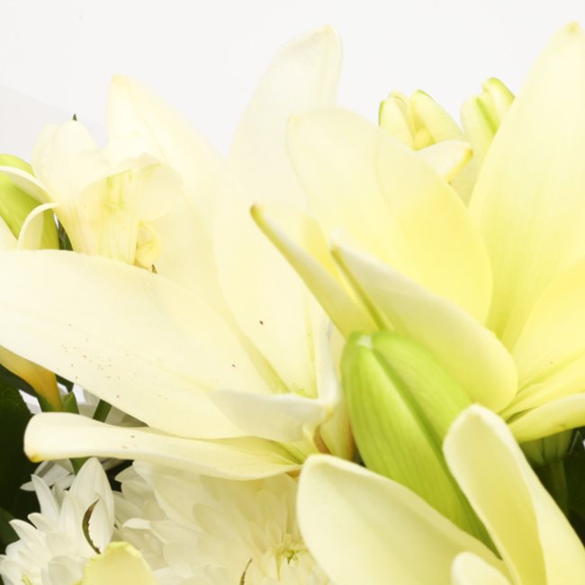 White Elegance Bouquet
