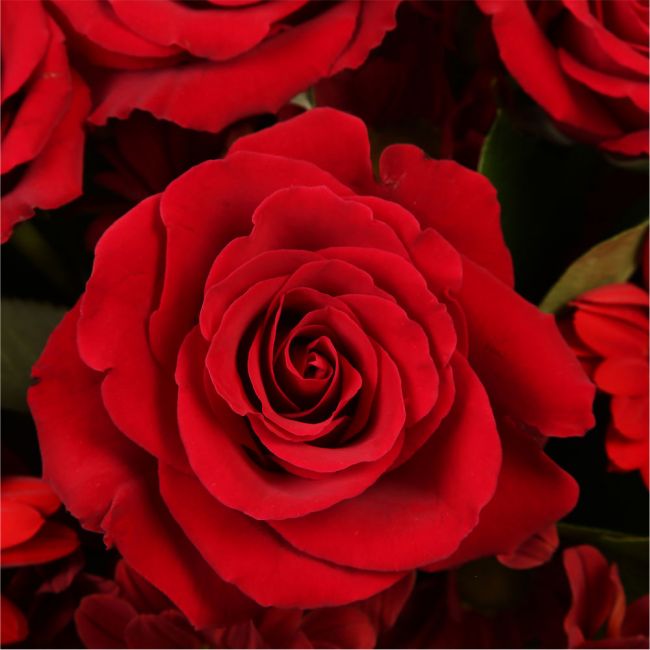 Luxury Red Bouquet