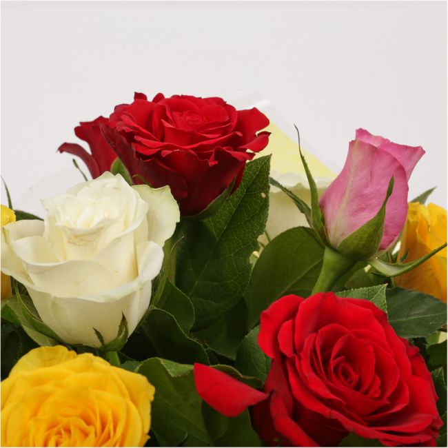 12 Beautiful Mixed Roses