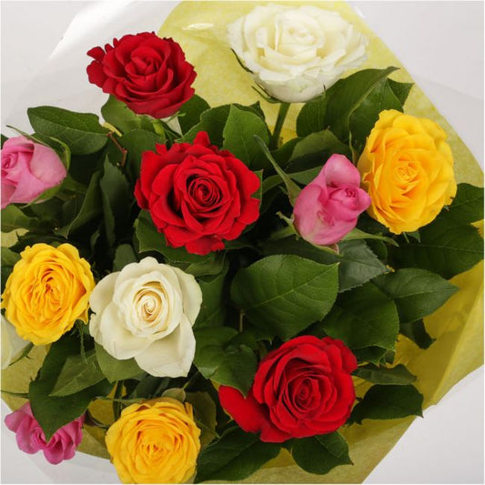 12 Beautiful Mixed Roses