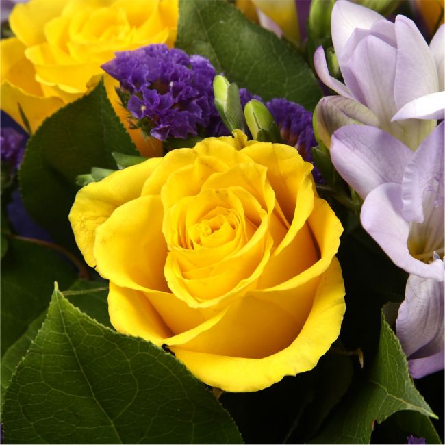 Pretty Scented Roses & Freesias