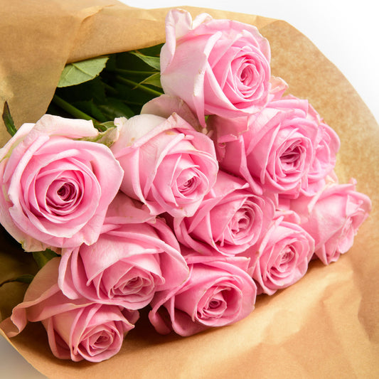 Ten pink roses
